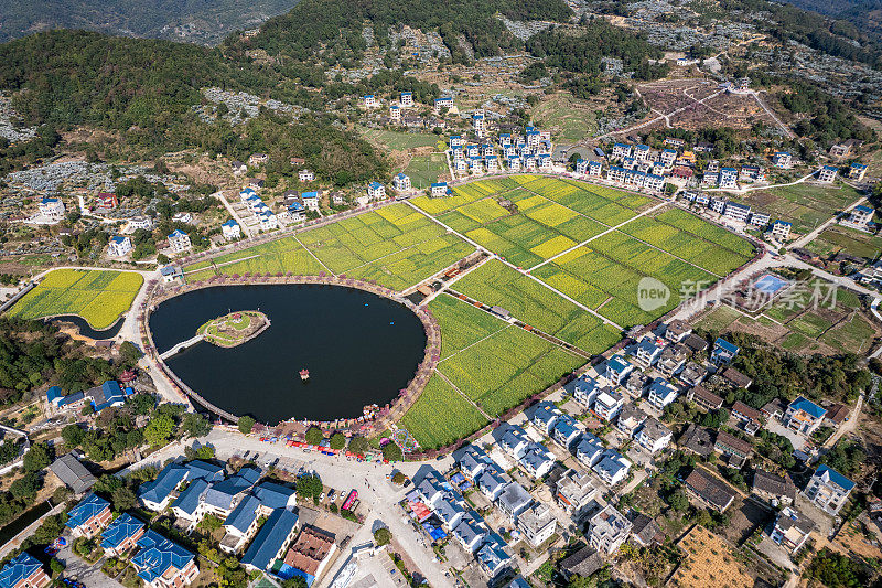 乡村人工湖边油菜花田鸟瞰图