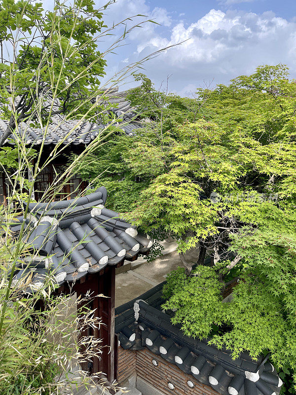 传统的韩屋韩屋酒廊在夏天