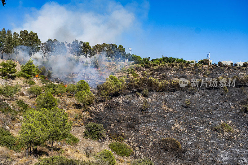 度假村里的山上着火了