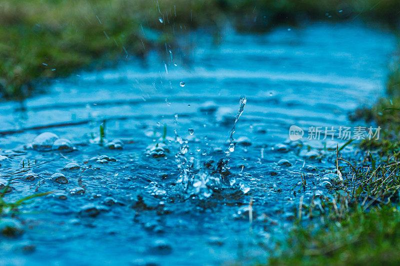 场上暴雨。农场。水坑里的雨滴。