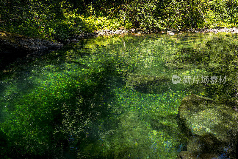 加拿大不列颠哥伦比亚省美丽的绿色湖泊