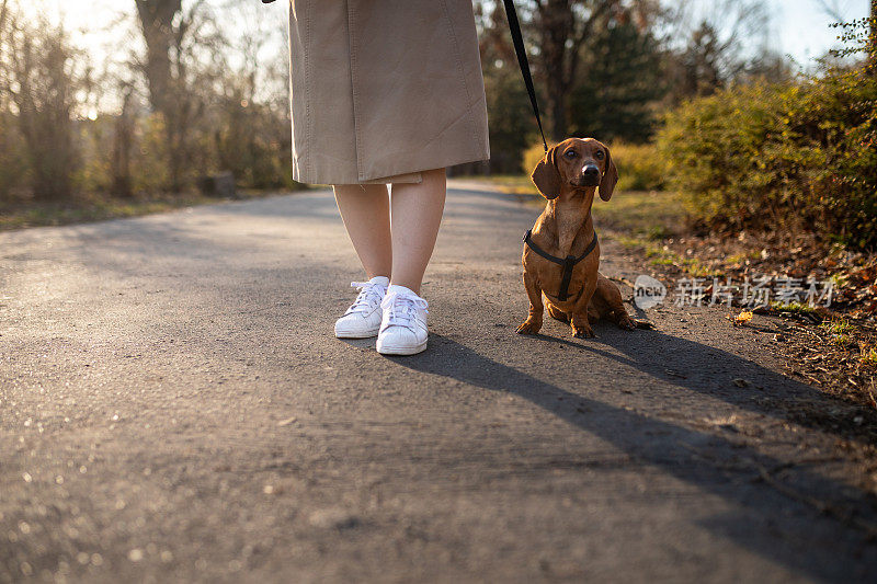 在户外遛狗的女人