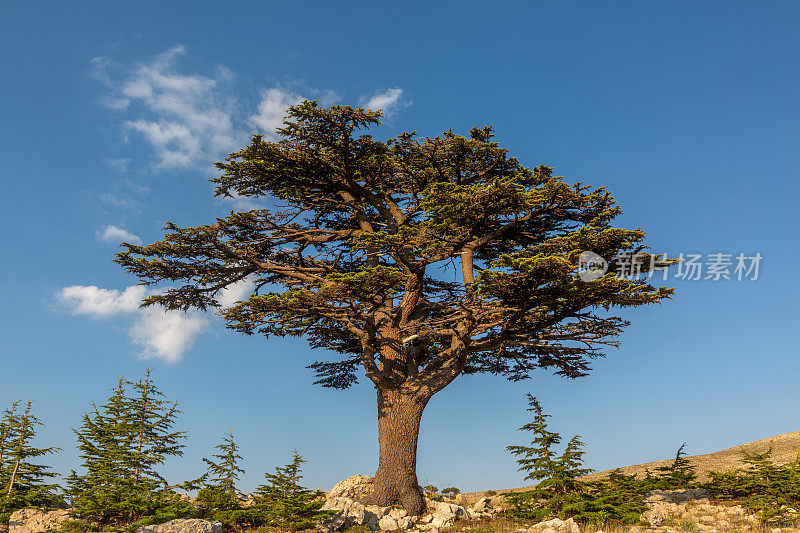 土耳其安塔利亚的黄昏山景