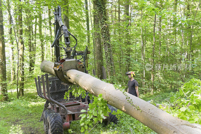 林业工人装载原木