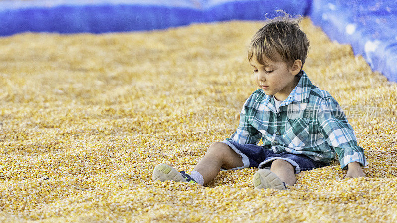 一个小男孩在南瓜地里的玉米坑里玩耍