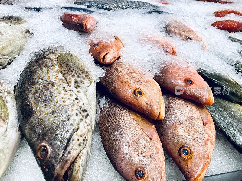 市场里的鱼被冰覆盖
