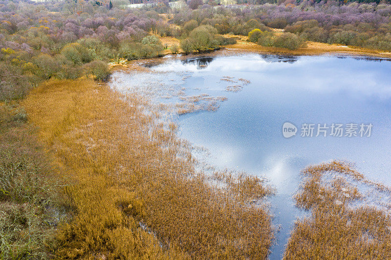 鸟瞰图的一部分苏格兰湖在一个秋天的早晨