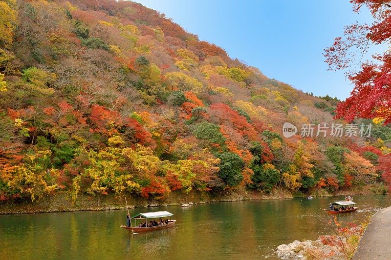 日本京都岚山地区秋叶颜色