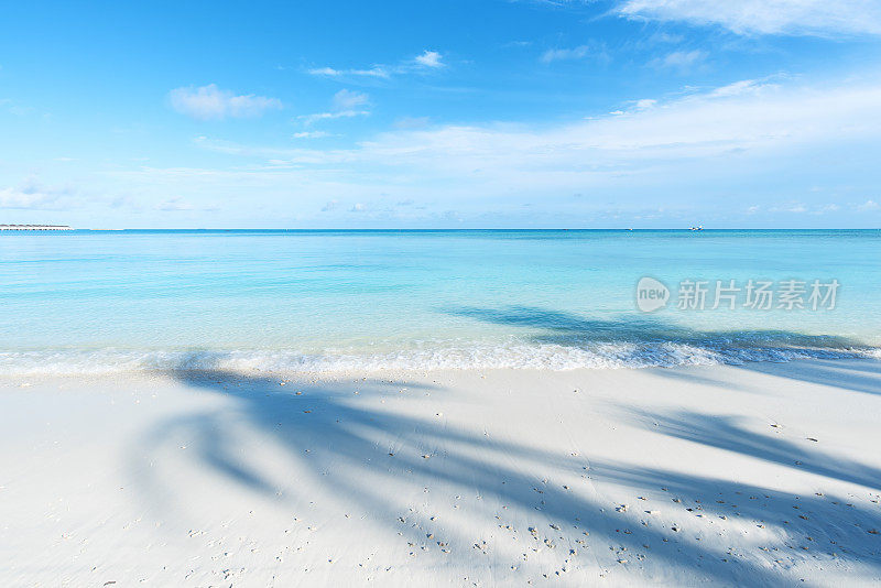 马尔代夫美丽的热带岛屿海滩和绿松石海