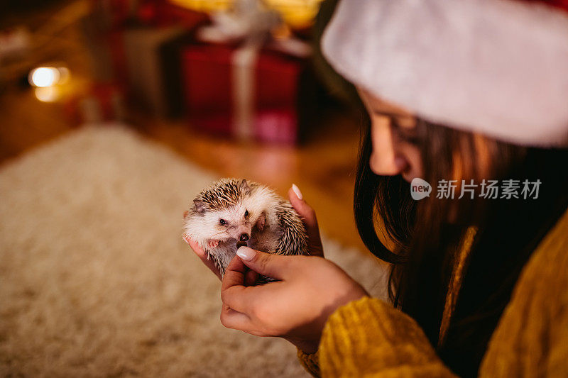 圣诞节的女人和她的刺猬