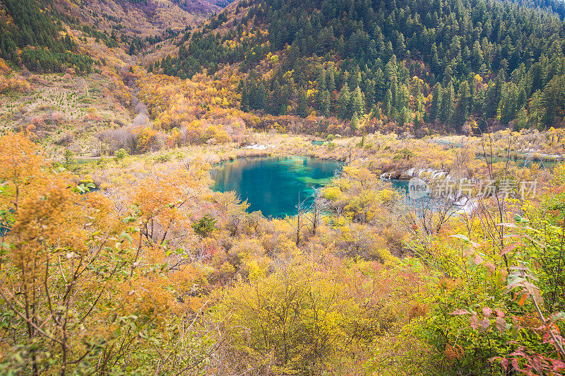 风景优美的木山和五花湖(九寨沟国家公园)，中国