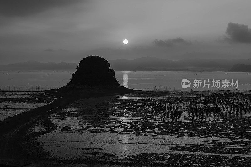 阳光普照在福建霞浦海岸的泥滩上