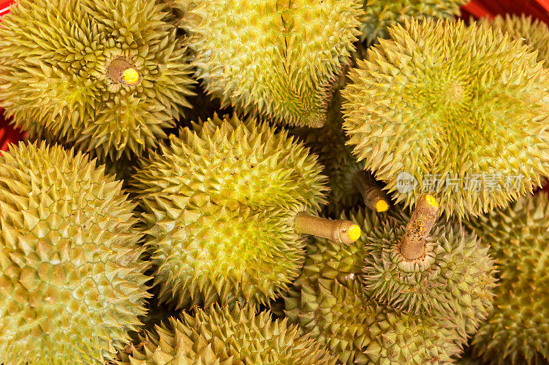 特写和俯视图泰国榴莲水果