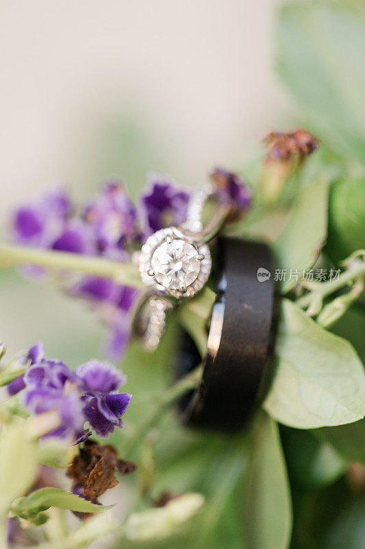 新娘的钻石结婚戒指和新郎的黑色结婚戒指在紫色开花植物上