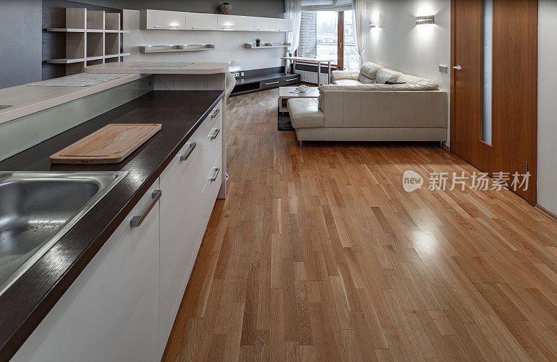 当代室内厨房在豪华工作室公寓。现代厨房设置深色木制柜台和水槽。舒适的真皮沙发上。硬木地板。
