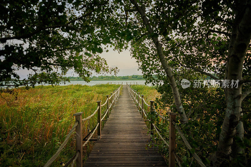 森林中的湖泊风景