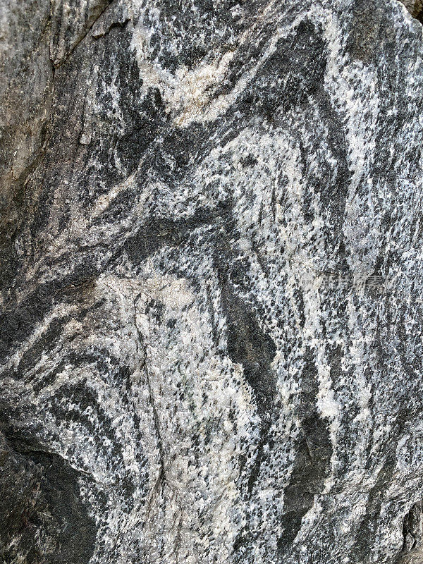 变质岩类型称为片麻岩，具有暗色和浅色矿物条带和晶体结构在这个地质样品