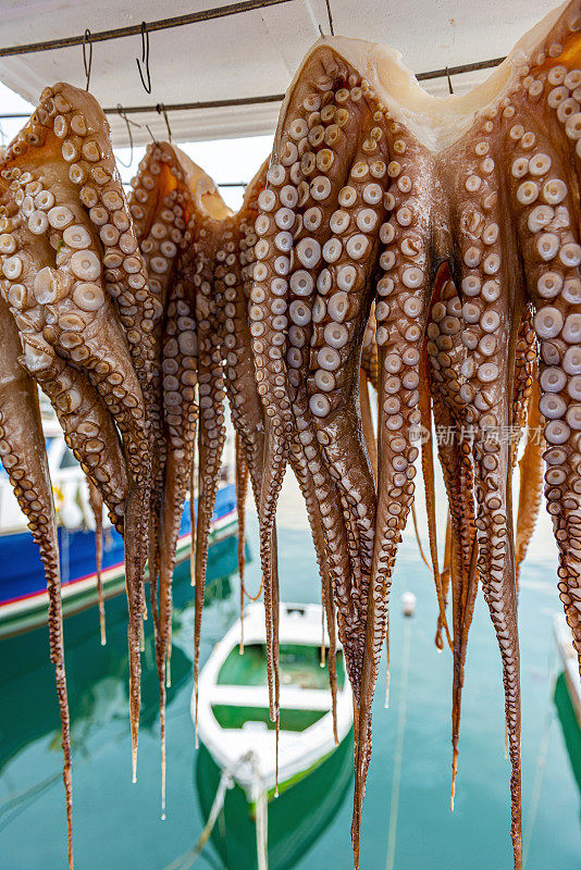 晒干的章鱼手臂挂在希腊莱斯博斯岛米蒂利尼海边