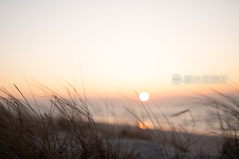 芦苇背后的日落。秋天的海景