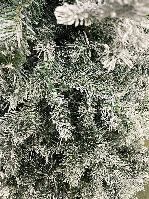 全帧图像的人造云杉圣诞树与塑料针喷洒人造雪