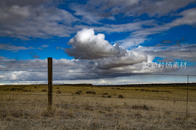 典型的铁砧形状的雷暴在蒙大拿草原上形成