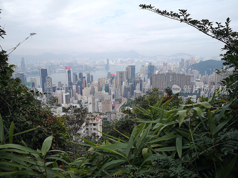 从卡梅伦山俯瞰香港市容