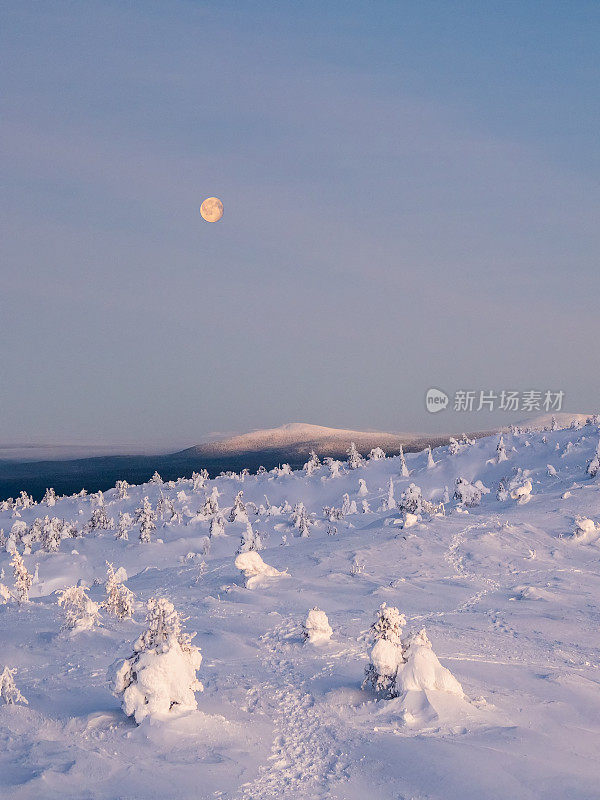 白雪覆盖的山坡上，一轮红月，冷月。冬季的极地景观有锥形山。寒冷的冬天的天气。严酷的北方气候。简约的俯视图。