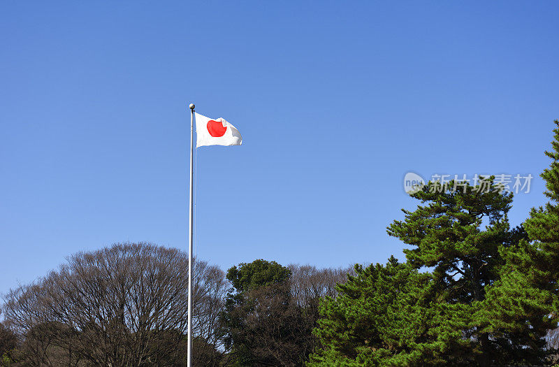 日本国旗在晴朗的天空中随风摇曳