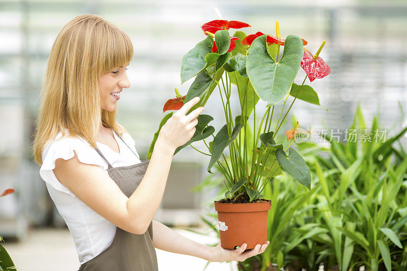 快乐的女性花商苗圃花。