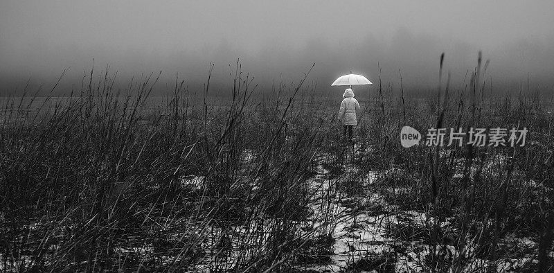 小女孩在雾中穿过田野