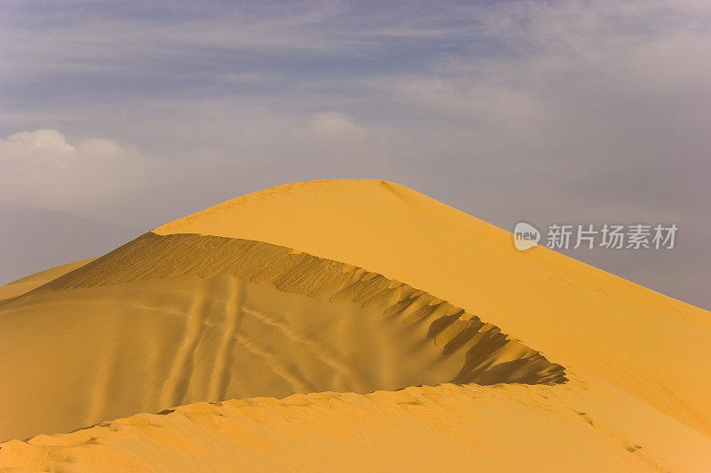 沙漠旅行