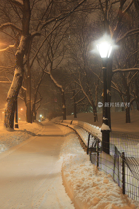 在暴风雪的晚上去中央公园