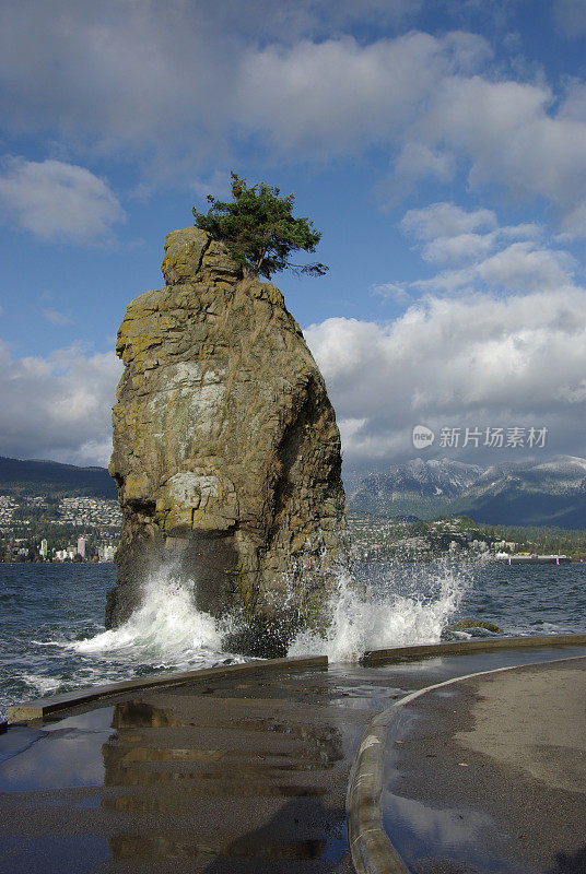 温哥华海堤上的西瓦什岩