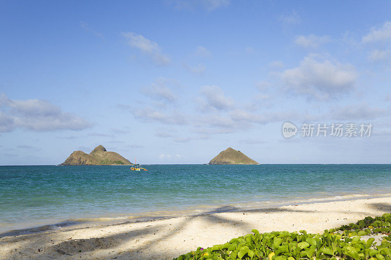 夏威夷瓦胡岛的拉尼凯海滩