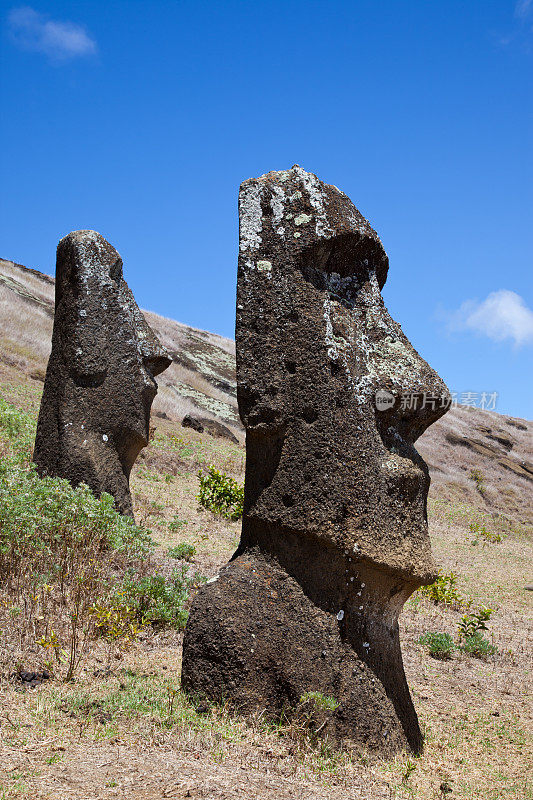 拉诺拉拉库火山的摩艾石像