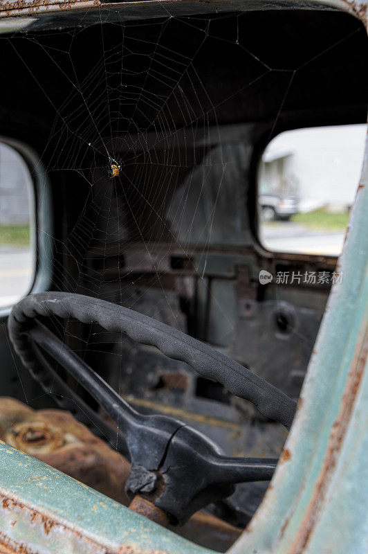 小货车挡风玻璃上的蜘蛛和蛛网