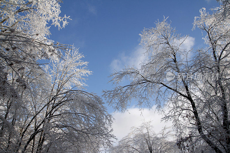 雪