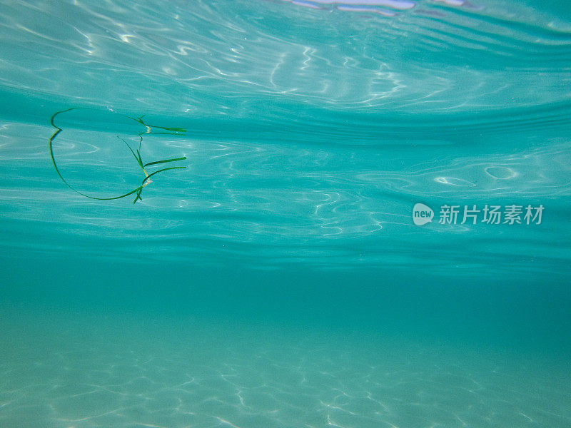 蓝色的大海水下