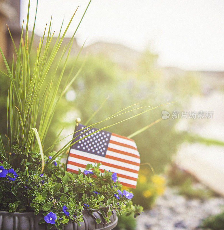 花卉和美国国旗的花园种植美国节日