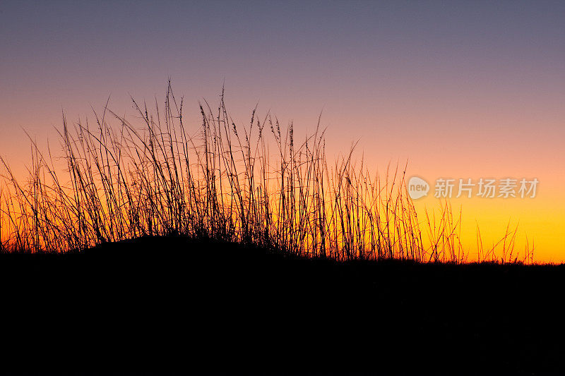 日落时的沙丘和草地