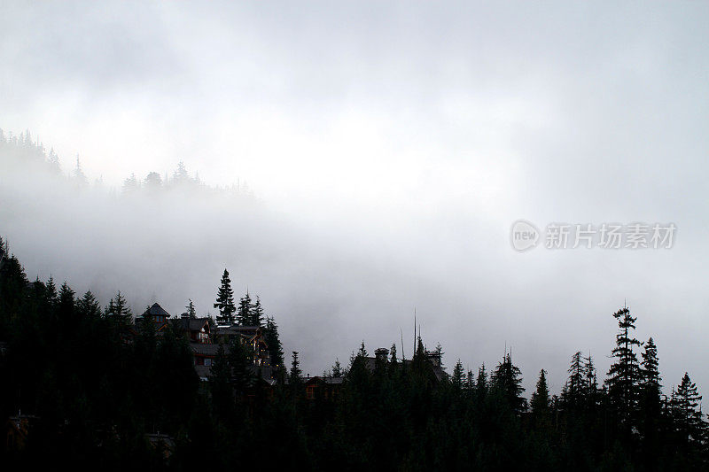 黑暗的山坡上