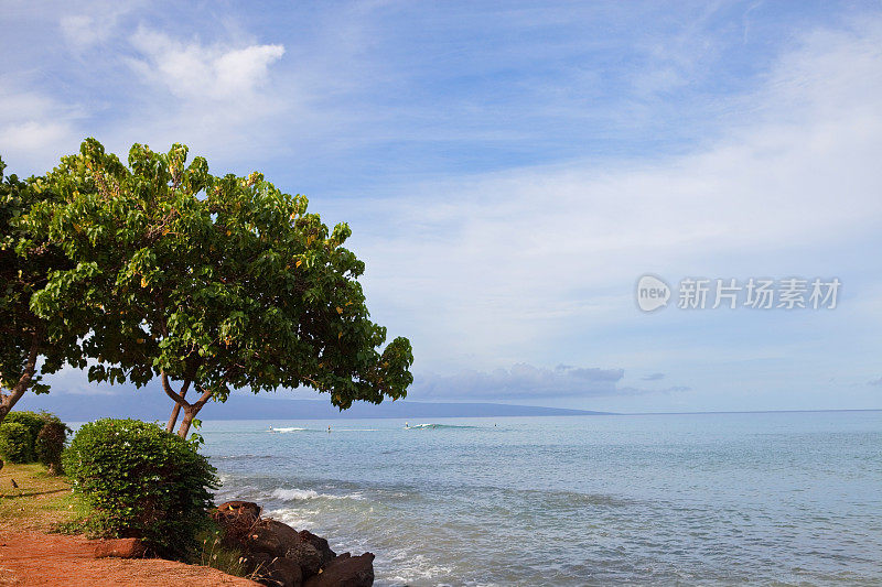 毛伊岛的海岸线