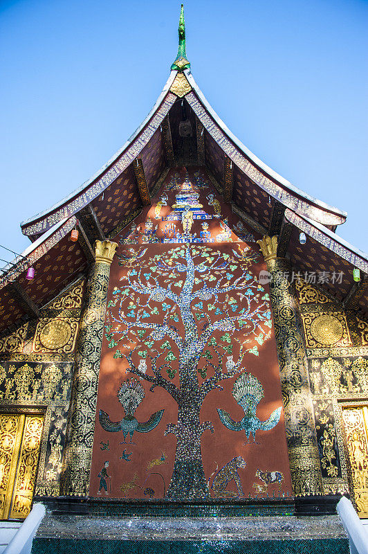 生命之树，仙通寺