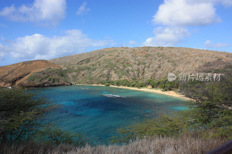 在瓦胡岛的海滩上