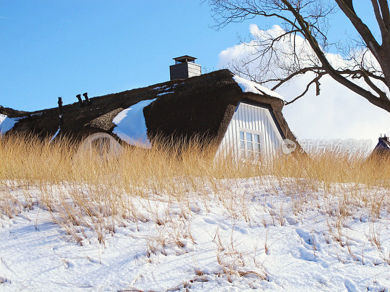冬天海滩上芦苇屋顶的茅草屋