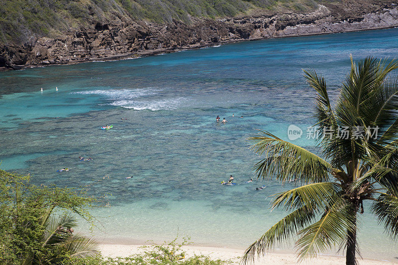 在哈瑙马湾浮潜