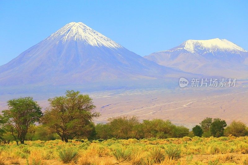 戏剧性的景观:利坎卡武尔和Miniques雪山火山和田诗式的阿塔卡马沙漠草原，火山景观全景-圣佩德罗阿塔卡马，智利，Bolívia和阿根廷边境