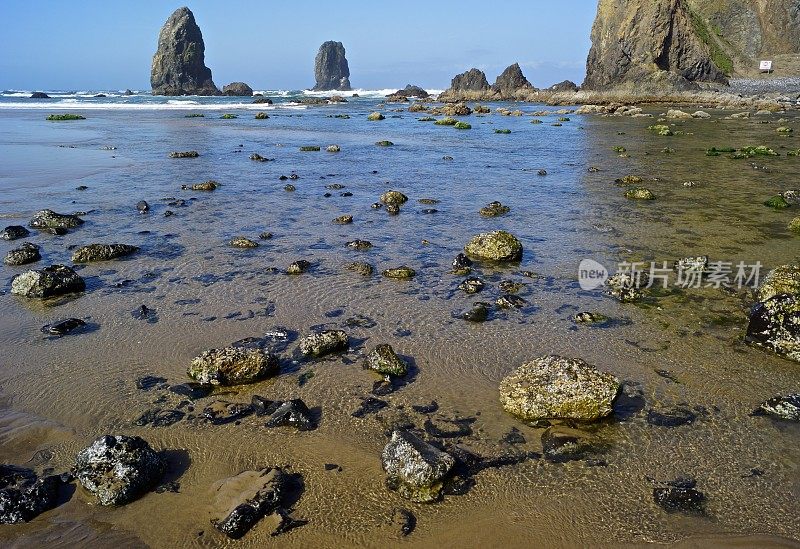 大炮海滩潮间带水坑