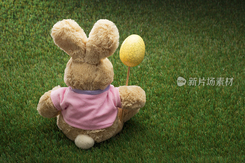 和兔子一起在绿草地上寻找复活节彩蛋