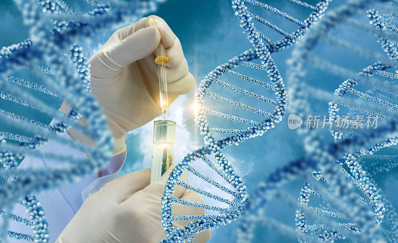 检测DNA分子。